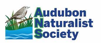 audubon naturalist society logo